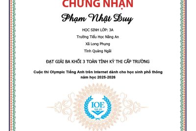 🌸🎉 VINH DANH HỌC SINH TIÊU BIỂU TẠI KỲ THI IOE NĂM HỌC 2025-2026 🎉🌸